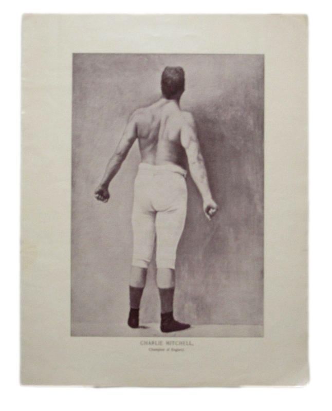 Charlie Mitchell Boxer 1895 Boxing Gladiators 11x15 Supplement Poster