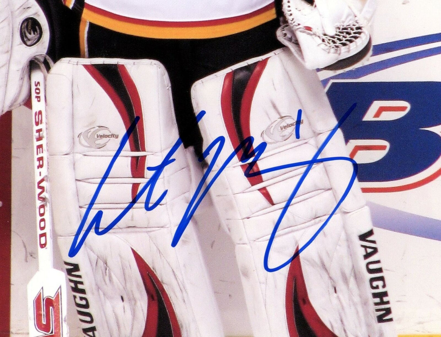Curtis McElhinney Calgary Flames Signed/Autographed 8x10 Photo 153066