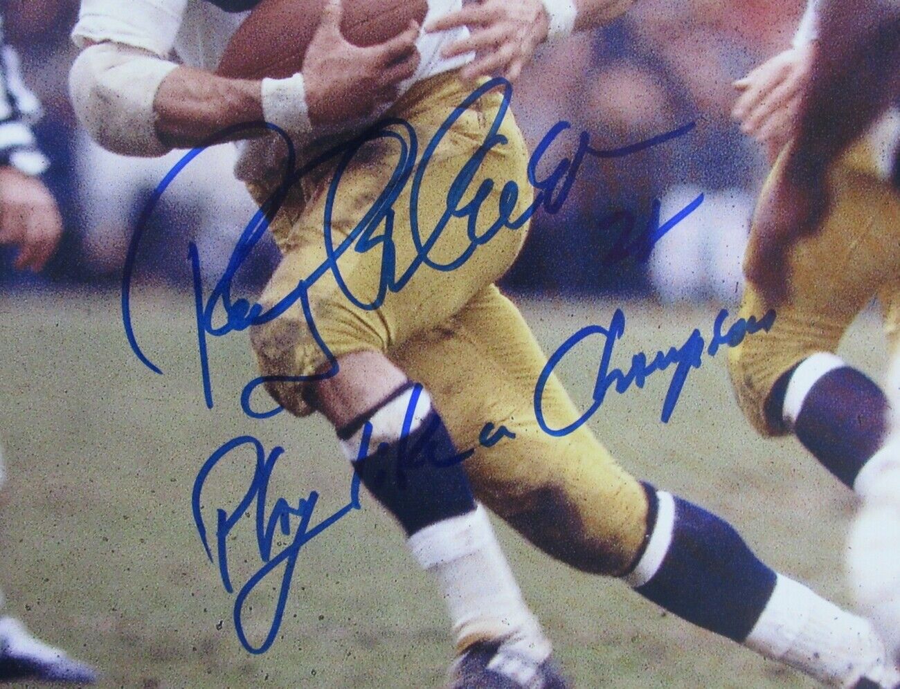 Rocky Bleier University of Notre Dame Signed/Inscribed 11x14 Photo JSA 147484