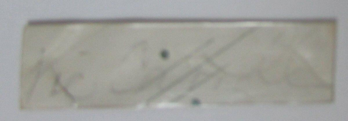 Vic Carroll d.1986 Nevada Reno/Redskins.NY Giants Signed Cut PSA/DNA 145693