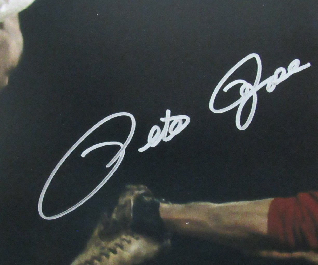 Pete Rose Cincinnati Reds Autographed/Signed 16x20 Photo JSA 189714