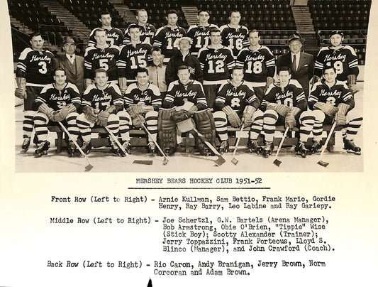 1951-52 Vintage Hershey Bears AHL Team Issued Glossy 8x10 Team Photo 180744