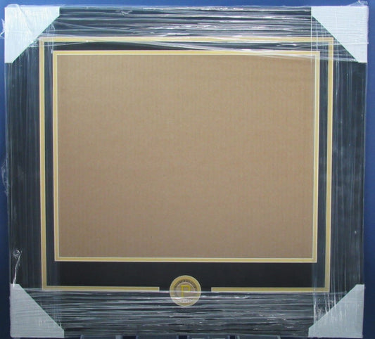 Pittsburgh Pirates Horizontal 16"x20" Photo DIY NEW Frame Kit 188681