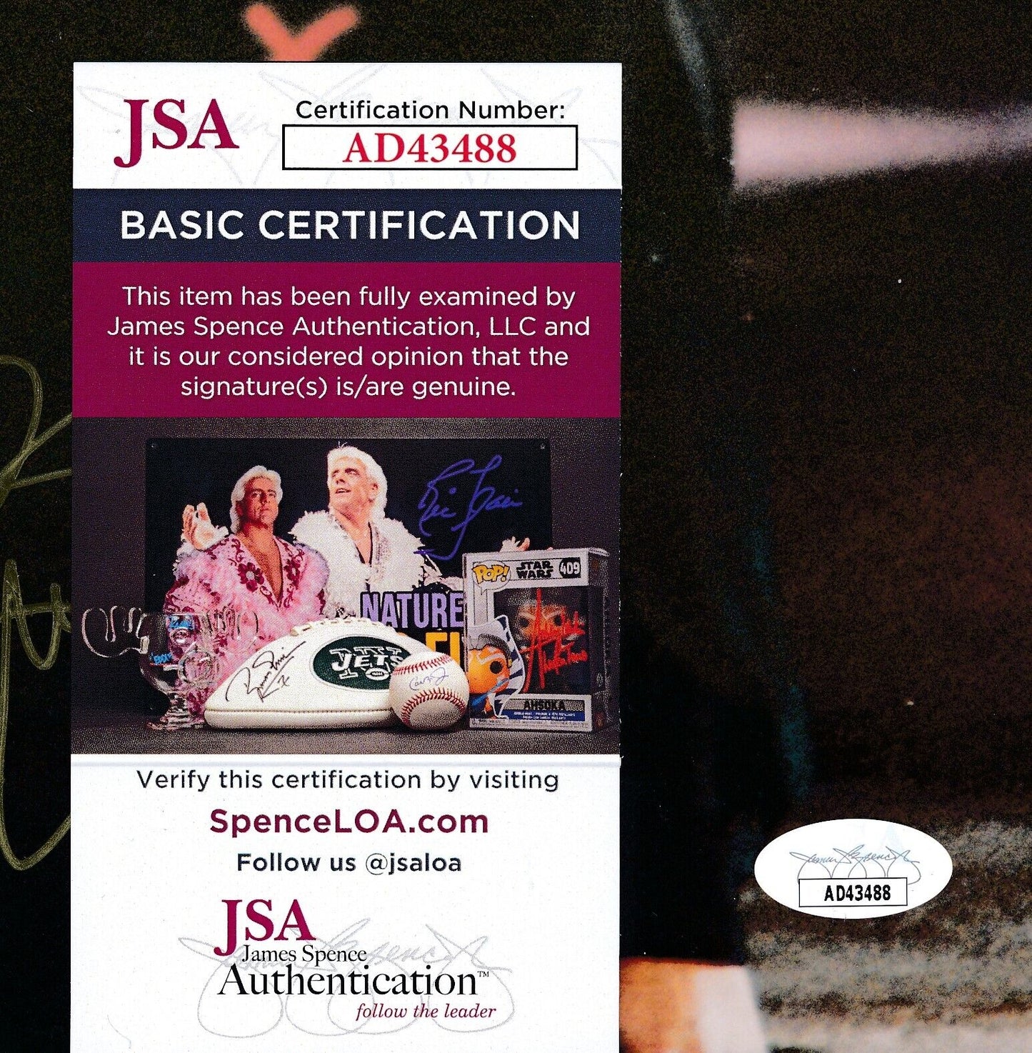 Brian Orser Autographed 8x10 Photo Olympic USA Figure Skating JSA