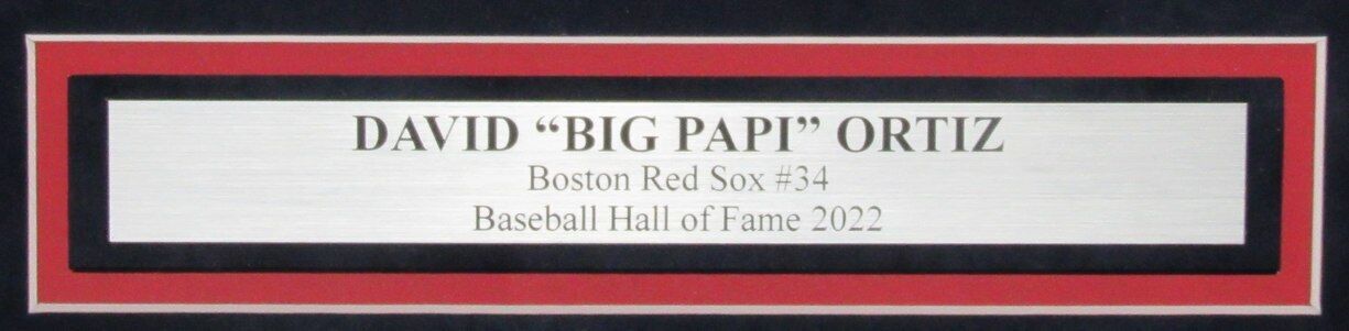 David Ortiz HOF Autographed 16x20 Photo Boston Red Sox Framed PSA/DNA 177261