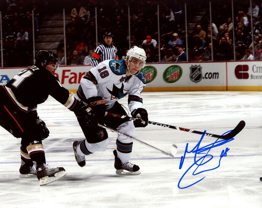 Matt Carle San Jose Sharks Signed/Autographed 8x10 Photo 153369