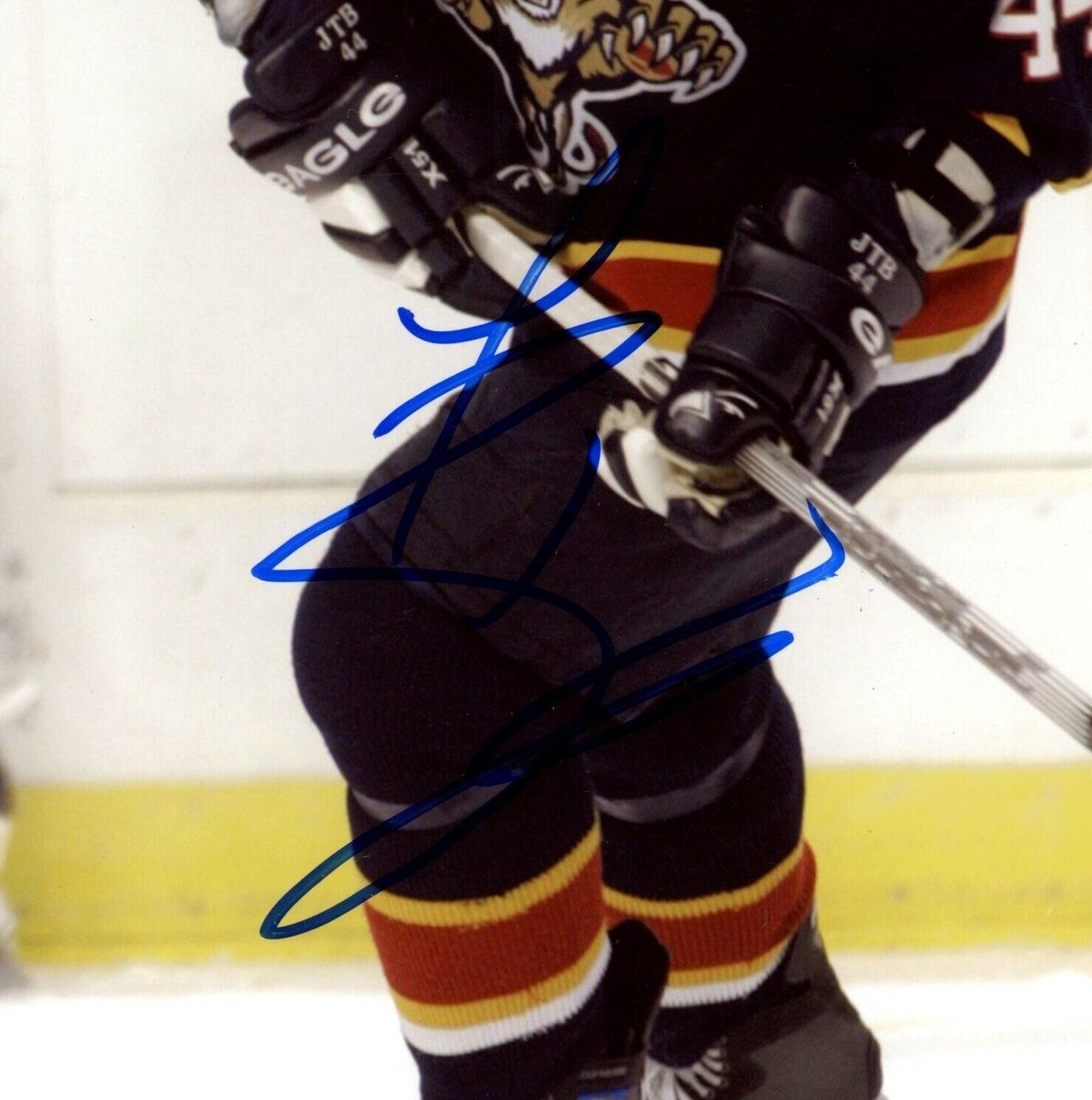 Todd Bertuzzi Florida Panthers Signed/Autographed 8x10 Photo 153085