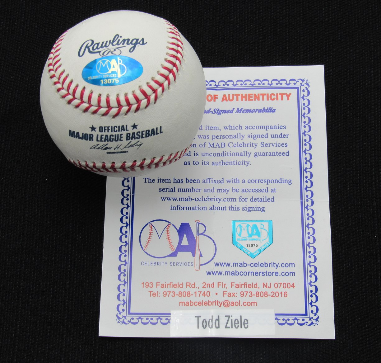 Todd Ziele Signed/Auto Yankees 100th OML Baseball MAB 187065