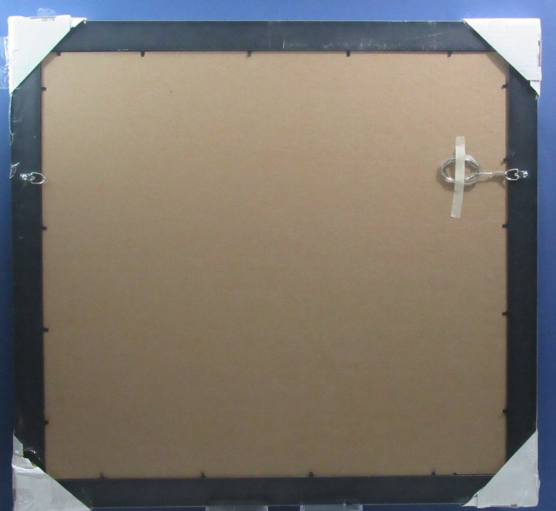 Lou Holtz Notre Dame Horizontal 16"x20" Photo DIY NEW Frame Kit 188694