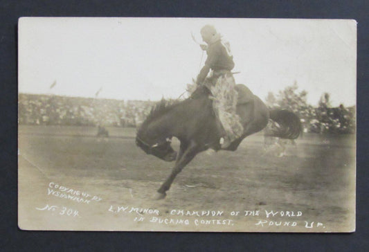 Vintage L.W. Minor Horse Bucking Champion B/W Photo Postcard