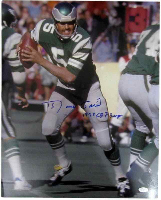 Roman Gabriel Philadelphia Eagles Autographed/Signed 16x20 Photo JSA 130422