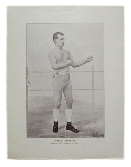 Arthur Chambers 1895 Boxing Gladiators 11x15 Supplement Poster