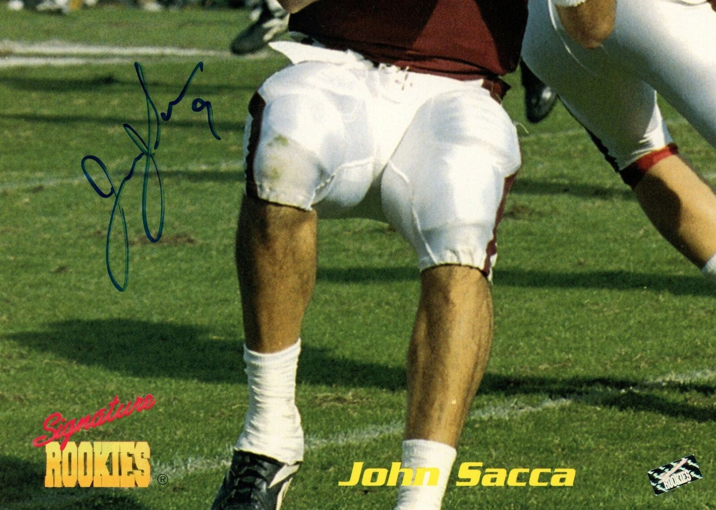 John Sacca Cardinals Signed 1995 Signature Rookies Cert 8x10 Photo 153544