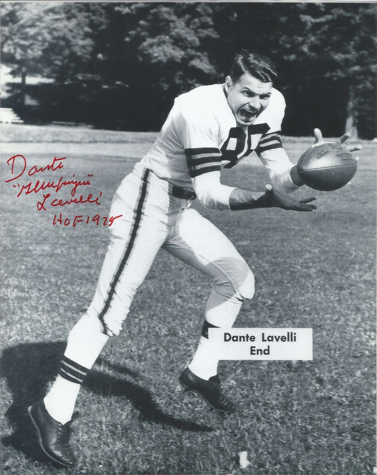 Dante Lavelli HOF Cleveland Browns Signed/Inscribed 8x10 B/W Photo JSA 150370