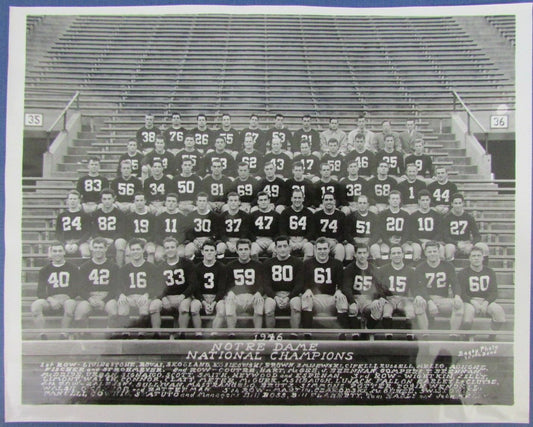 1946 National Champions Notre Dame Fighting Irish 8x10 Original Photo 126321