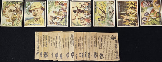 1950 Topps Bring Em Back Alive complete set of 100 cards 184701