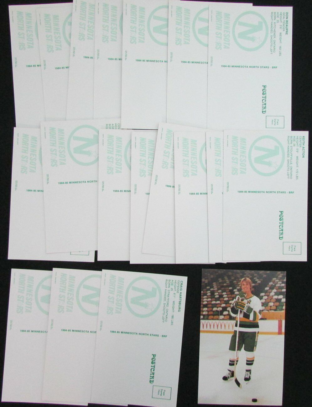 Lot of 19 Minnesota North Stars Signed 3.5x5.5 Team Postcard incl.Beaupre 150472