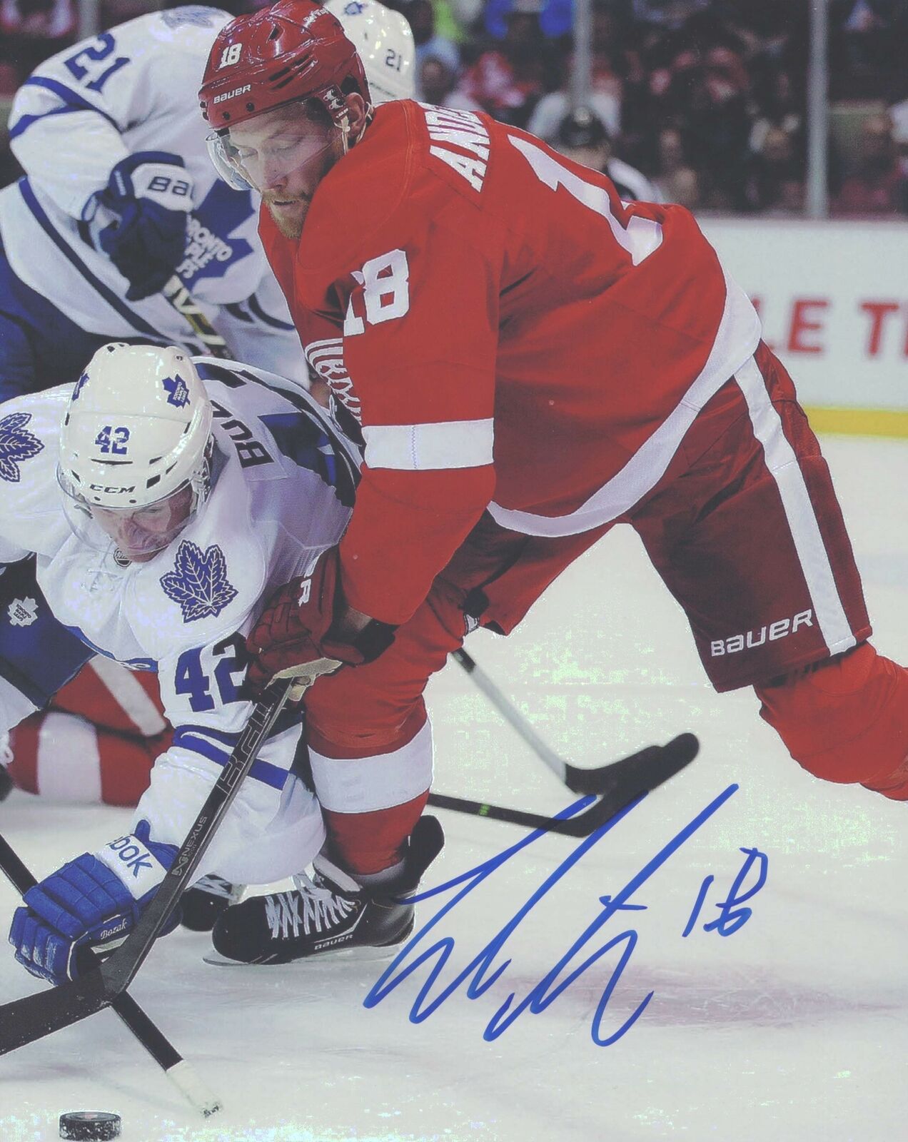 Joakim Andersson Detroit Red Wings Signed/Autographed 8x10 Photo 152502